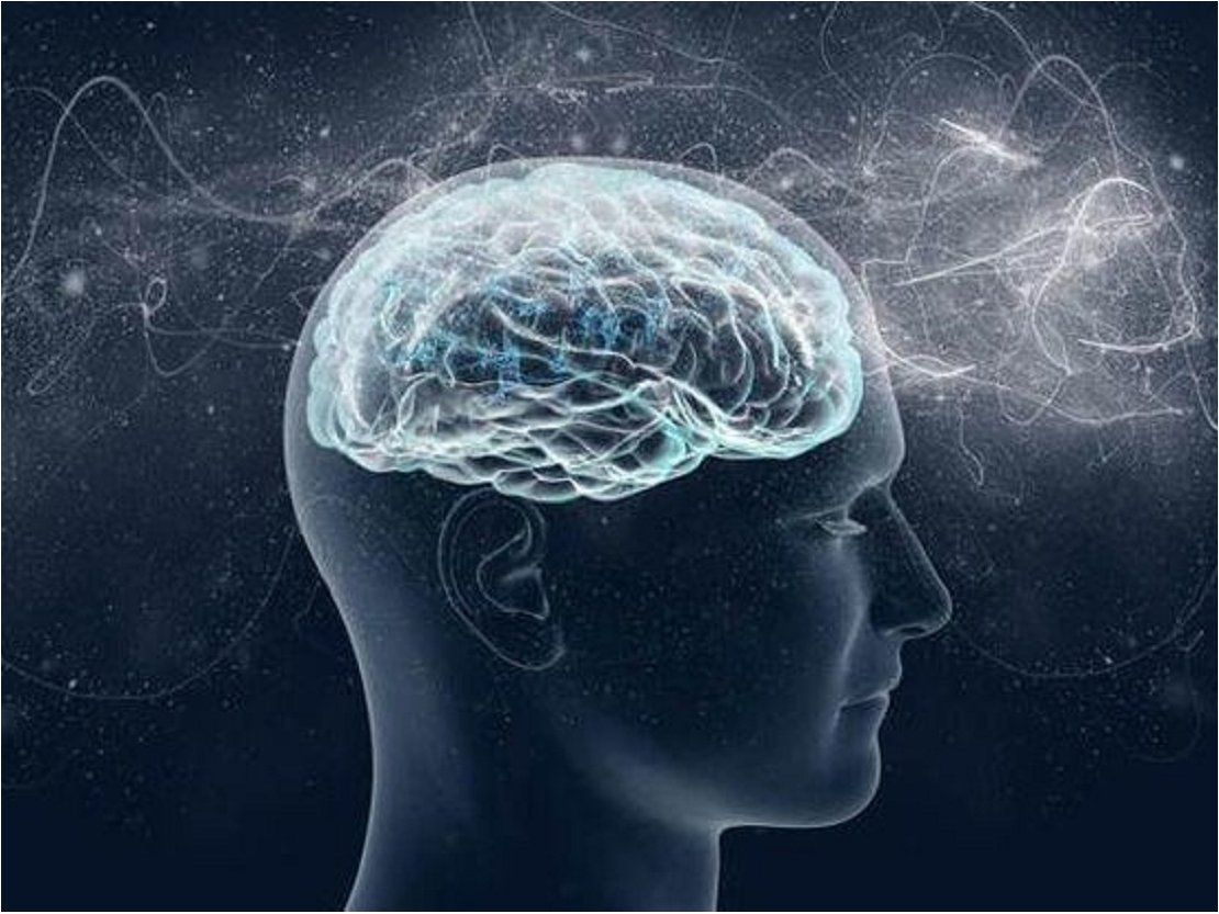 Descodificación Neurobiológica, Emocional y Genealógica.