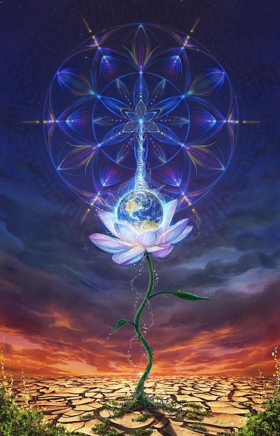 Tarot Bio-Sistémico