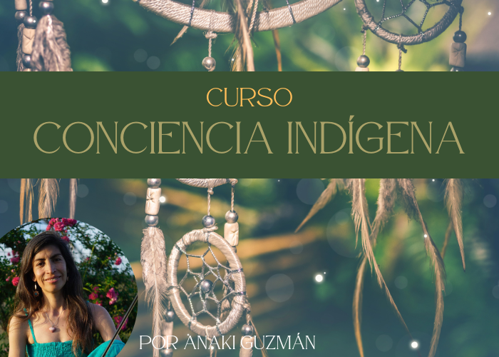 Conciencia Indigena